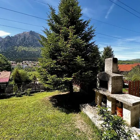 Villa The Bear House 2 Buşteni Exterior foto
