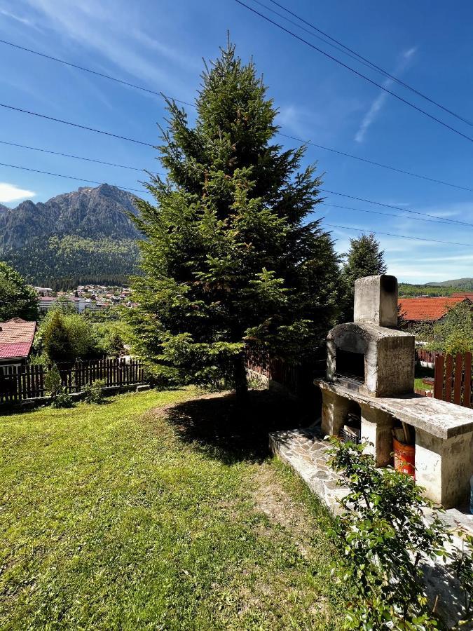 Villa The Bear House 2 *