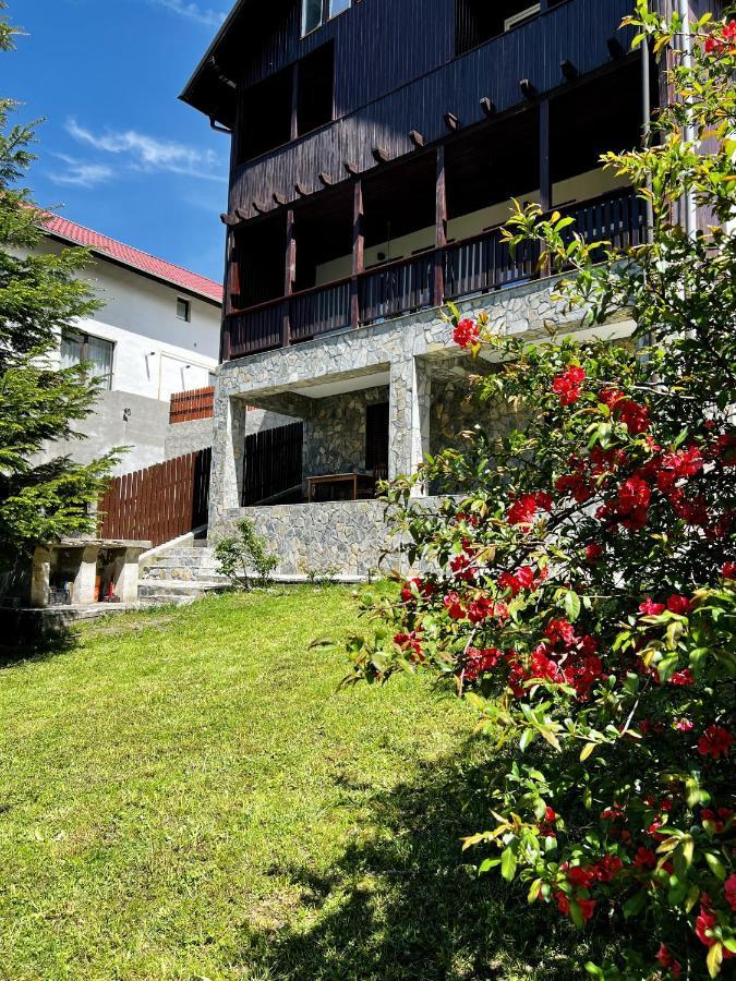 The Bear House 2 Buşteni