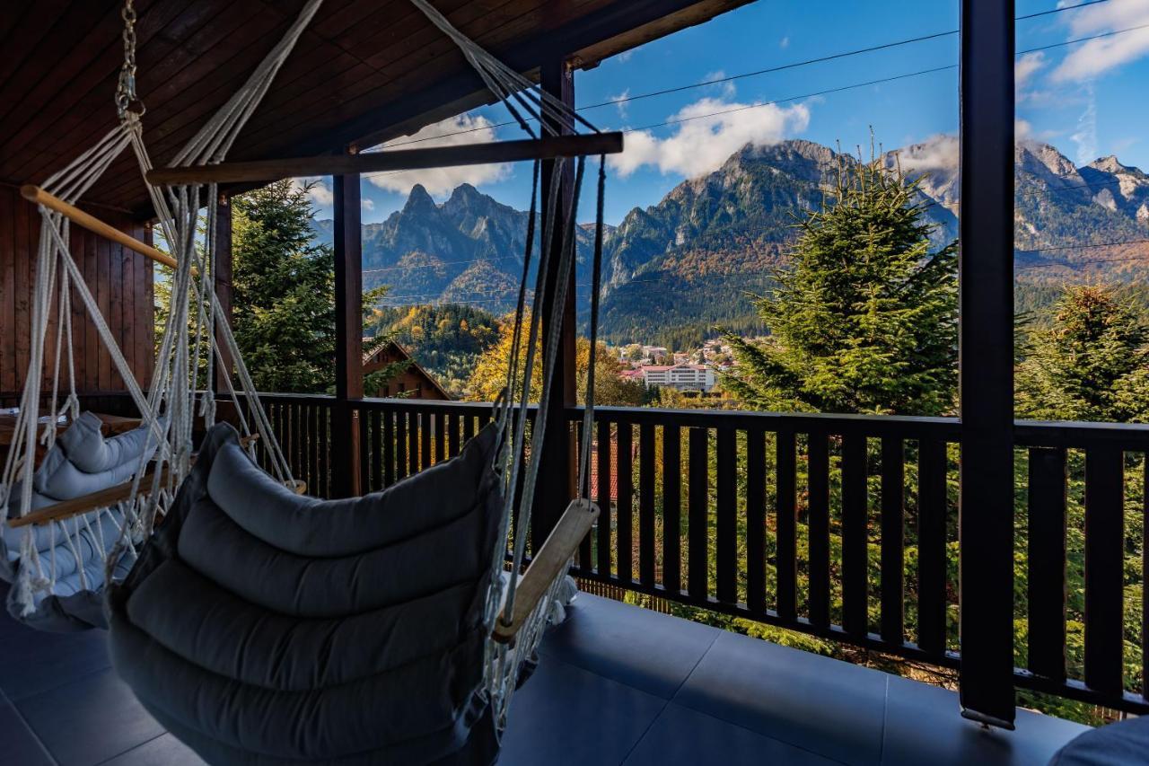Villa The Bear House 2 Buşteni